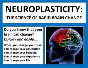 Neuroplasticity, The Science of Brain Change